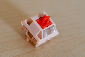 BSUN Light Sakura